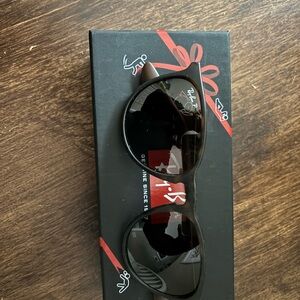 Ray-Ban Erika Sunglasses